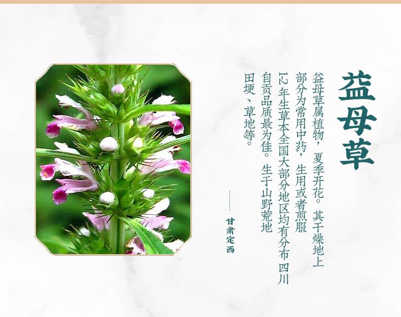 Natural Tong Ren Tang Premium Yi Mu Cao Chinese Herb Leaf, Loose Leaf Tea, Unadulteratedn Women's Tea Herbal Tea 同仁堂益母草无杂质粉当季采摘女性茶30克