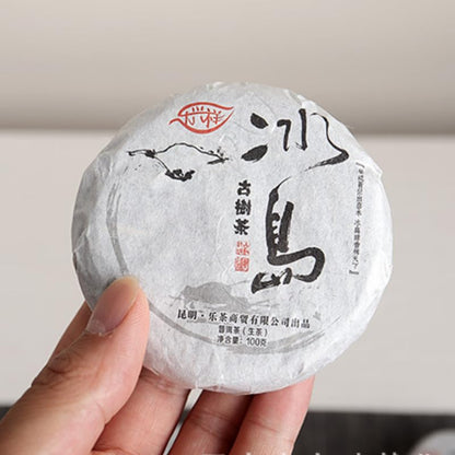 Natural and Additive-free Pu'er Tea Lexingxiang 100g Iceland Spring Tea for Travelling and Office Use (Mooncake Shape) Raw Tea Green Tea 普洱茶100克冰岛 明前春茶旅游办公用茶（月饼形状）