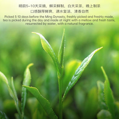 Tong Ren Tang Premium Large Leaf Bitter Tea Small Tender Buds Kuding Tea Health Kuding Green Tea Chinese Herbal Tea 南京同仁堂精品大叶白骨苦丁茶60克 小嫩芽苦丁茶特级