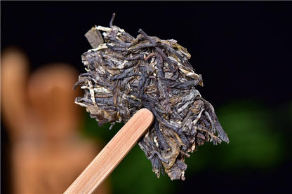 Premium Yiwu Zhengshan Early Spring Puerh Tea 357g Natural and additive-free Big Tree Tea Cake Yunnan Qizi Cake Tea 易武正山早春 普洱茶生茶357克大树茶饼