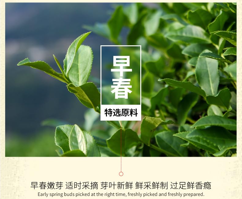 Guizhou, China Origin Queshe Young Buds Green Tea Before The Rainy Spring Tea Cui Buds Loose Tea Strong Aroma Canned 125g 新茶雀舌嫩芽绿茶明前雨前春茶翠芽散茶叶浓香型罐装125g