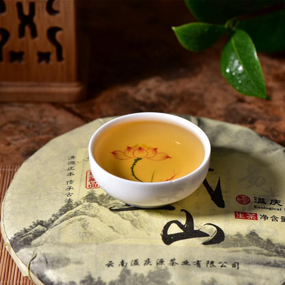 Premium Yiwu Zhengshan Early Spring Puerh Tea 357g Natural and additive-free Big Tree Tea Cake Yunnan Qizi Cake Tea 易武正山早春 普洱茶生茶357克大树茶饼