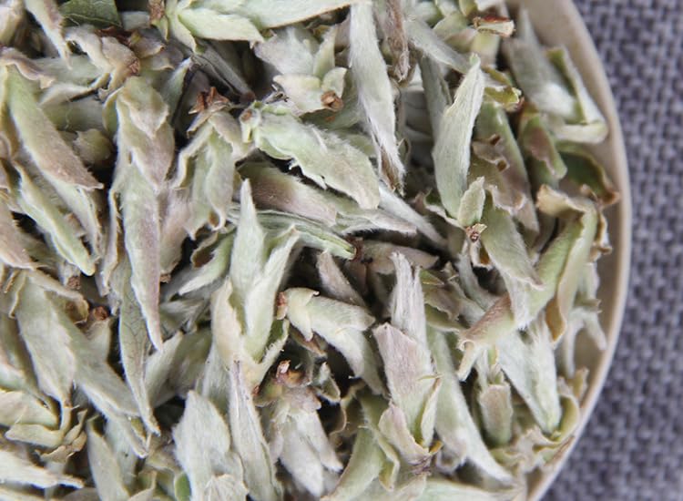 Yunnan Natural and Additive-free Bud Spore Puerh Loose Tea Bright White Bud 150g/bag Bud Tea Loose Tea Baged 明前白芽苞茶散茶150g袋装