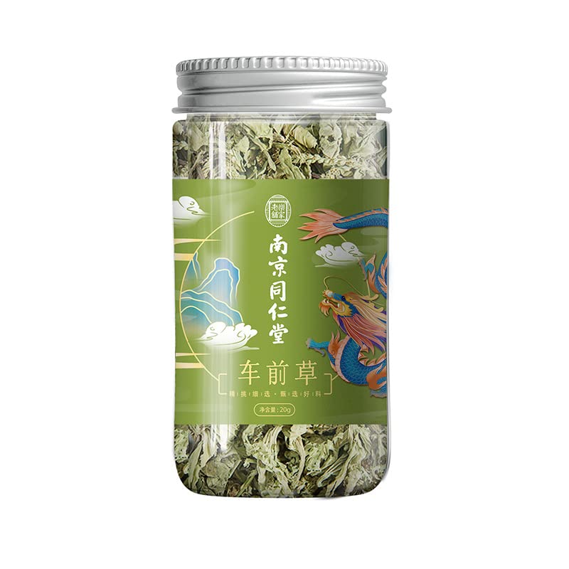 Herbal Tea Plantain 20g Canned Tea Plantain Infusion Tea Fresh Dried 0.70oz Whole Plant No Impurities No Sugar Packed Tea 南京同仁堂车前草罐装