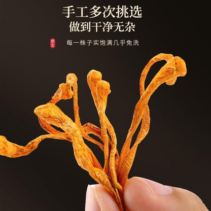 Natural Green Food Without Additives 250g CORDYCEPS MUSHROOM, Herbal Tea, Chinease Herbal, Dryness Up To 99% or More 福东海虫草花250g 蛹虫草北虫草孢子头金虫草