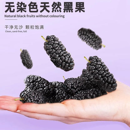 Tongrentang Mulberry Fresh Taste Mulberry Tea 120g Natural Mulberry Fruits, Sweet and Sour Taste Chinese Organic Mulberry Sangshen Herb Tea 南京同仁堂桑椹120克