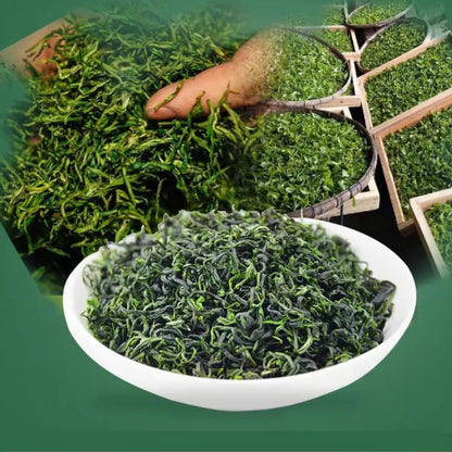 Premium Spring Tea Biluo Tea Strong Aroma Cloud Tea Sufficient Sunshine Tender Buds Mao Jian Green Tea 500g 春茶碧螺春浓香型云雾茶日照充足嫩芽毛尖绿茶茶叶500克