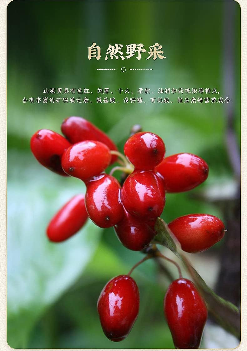 TongRen Tang Natural Cornus Fruit 80g Dried Cornus 2.82oz Loose Leaf Tea Canned Tea Herbal Tea China Health Care 南京同仁堂山茱萸干山萸肉罐装