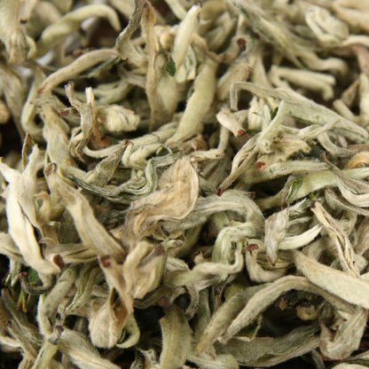 Yunnan Premium Green Tea Pre-mingming Green Tea Single Bud Xuelong Tea (No.2) 500g Yunnan Green Loose Tea Chinese tea 云南绿茶  新茶明前绿茶 单芽雪龙茶滇绿散茶