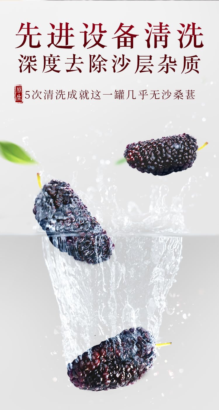 Sang Shen 250g Natural Green Food Without Additives Dried Black Beauty Fruiting Mulberry Dry Herb Black dried Mulberry 福东海 桑葚干 250g罐装 干净无沙 桑葚果 桑葚子桑椹干