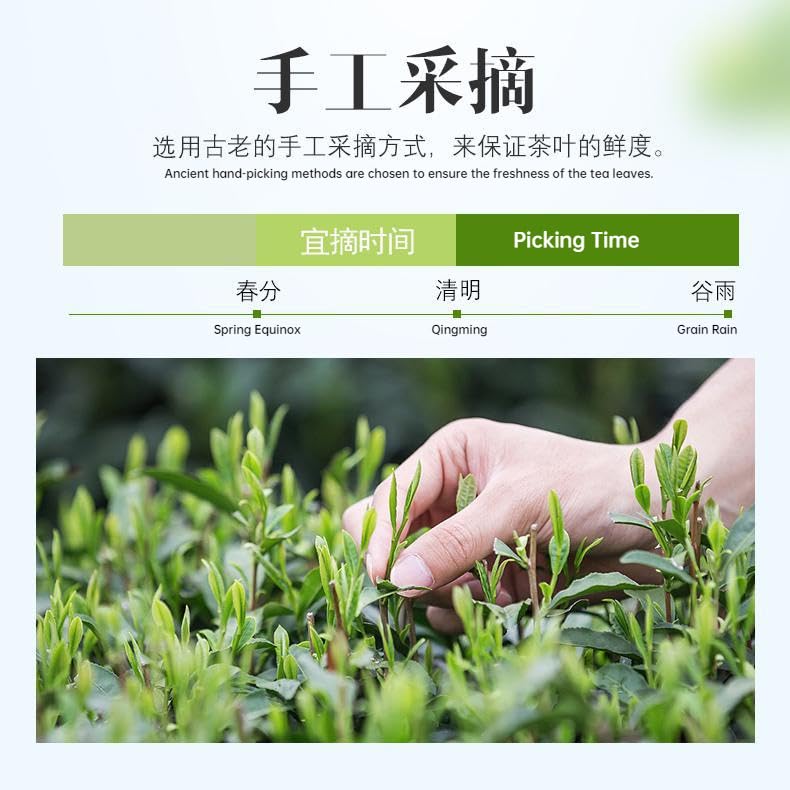 China Guizhou Origin Queshe Green Tea Spring Tea Mingqian loose Tea Canned 125g Natural and additive-free Loose Leaf Chinese Tea 雀舌2023新茶贵州绿茶嫩芽春茶明前散装茶叶罐装