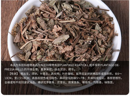 Herbal Tea Plantain 20g Canned Tea Plantain Infusion Tea Fresh Dried 0.70oz Whole Plant No Impurities No Sugar Packed Tea 南京同仁堂车前草罐装