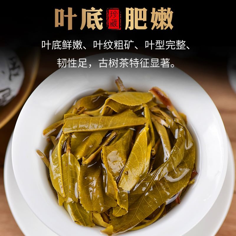 Premium Puerh Tea Raw Tea Yiwu Xiaolongzhu Tea Big Tree Tea Mini Tuo Tea 250g/8.81oz Thick and sweet, Deliciously Smooth Green tea 普洱茶生茶 易武小龙珠茶大树茶迷你小沱茶250g