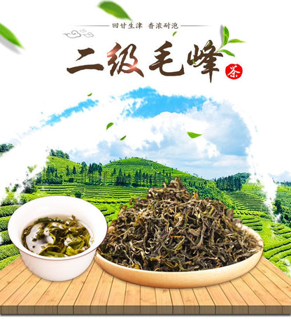 Yunnan Premium High Mountain Yunwu Green Tea Loose 500g Grade II Maofeng Tea Strong Aroma Brewing Tea Natural Chinese Tea 云南高山云雾绿茶散装500g二级毛峰茶叶