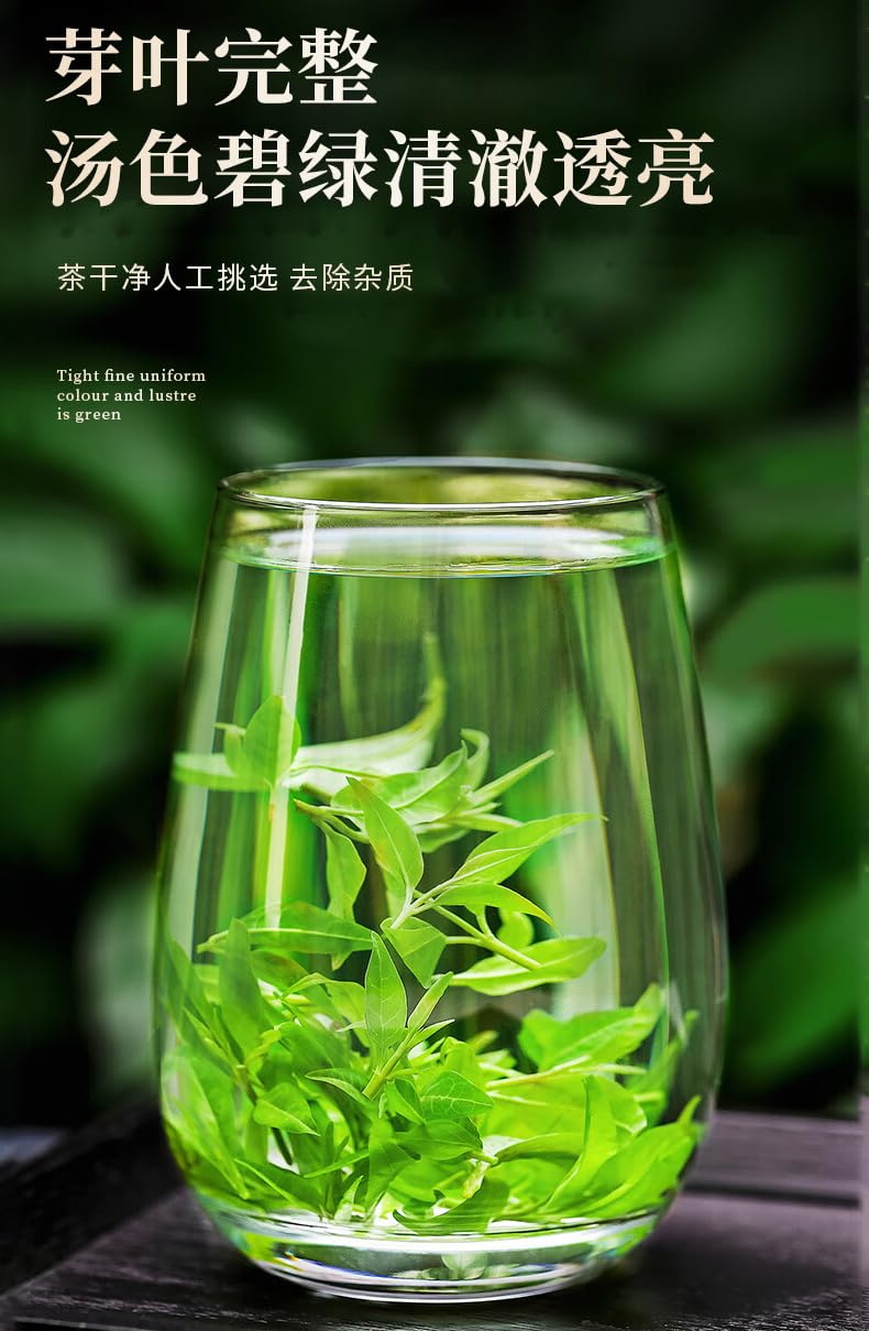 Tong Ren Tang Premium Large Leaf Bitter Tea Small Tender Buds Kuding Tea Health Kuding Green Tea Chinese Herbal Tea 南京同仁堂精品大叶白骨苦丁茶60克 小嫩芽苦丁茶特级