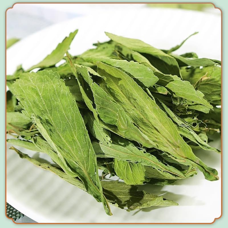 Tong Ren Tang Natural Sun-dried Tian Ye Ju 10g Tonic Health Green leaf loose leaf tea Healthful Choice of Herbal tea 南京同仁堂甜叶菊10克