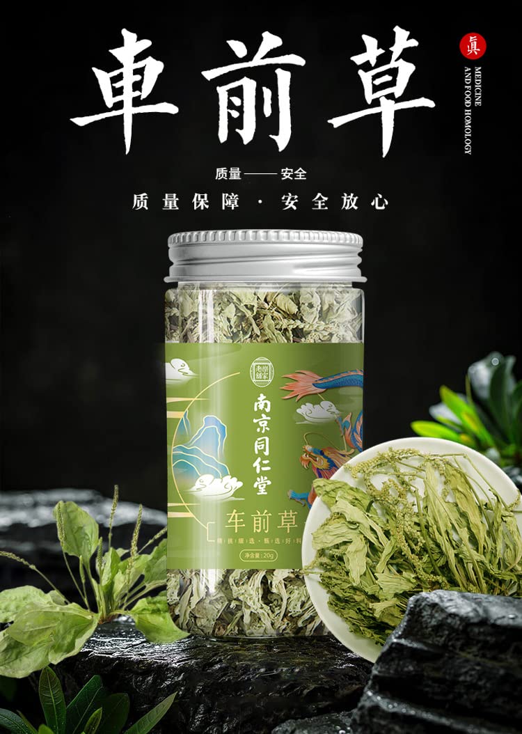 Herbal Tea Plantain 20g Canned Tea Plantain Infusion Tea Fresh Dried 0.70oz Whole Plant No Impurities No Sugar Packed Tea 南京同仁堂车前草罐装