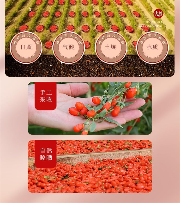 250g/can of Goji Berries, Natural Green Food Without Additives Ningxia Goji Berries, Dried Goji Berries Herbal Tea 枸杞250g