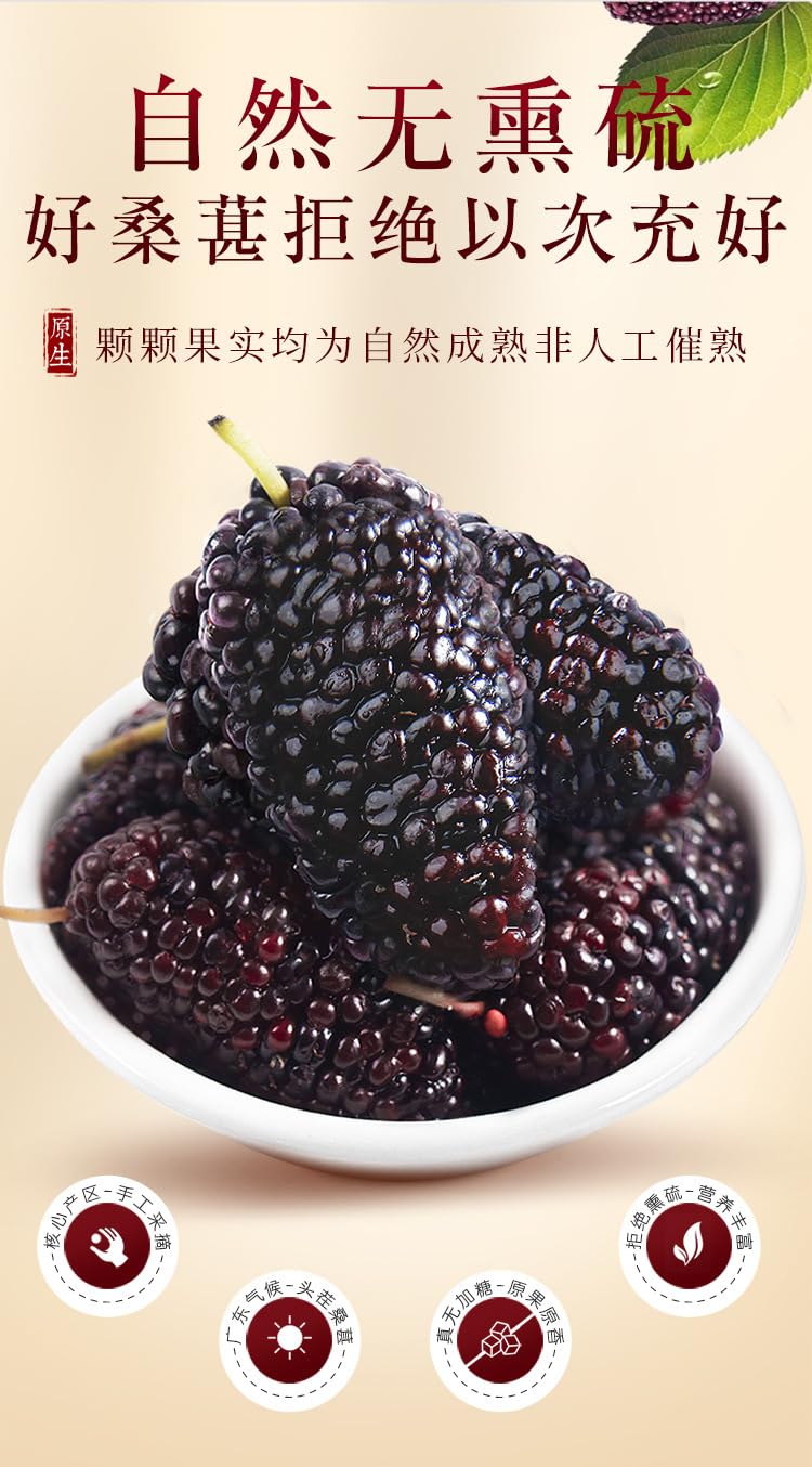 Sang Shen 250g Natural Green Food Without Additives Dried Black Beauty Fruiting Mulberry Dry Herb Black dried Mulberry 福东海 桑葚干 250g罐装 干净无沙 桑葚果 桑葚子桑椹干