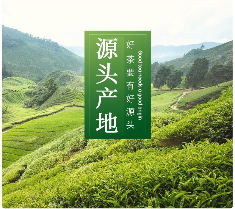 Premium Natural and Additive-free Early Spring Cuiming Green Tea with Bright Green Leaves, 500g Fresh Flavour and Strong Aroma 早春茶 翠茗 新茶 合昌轩茶叶 绿茶 翠茗