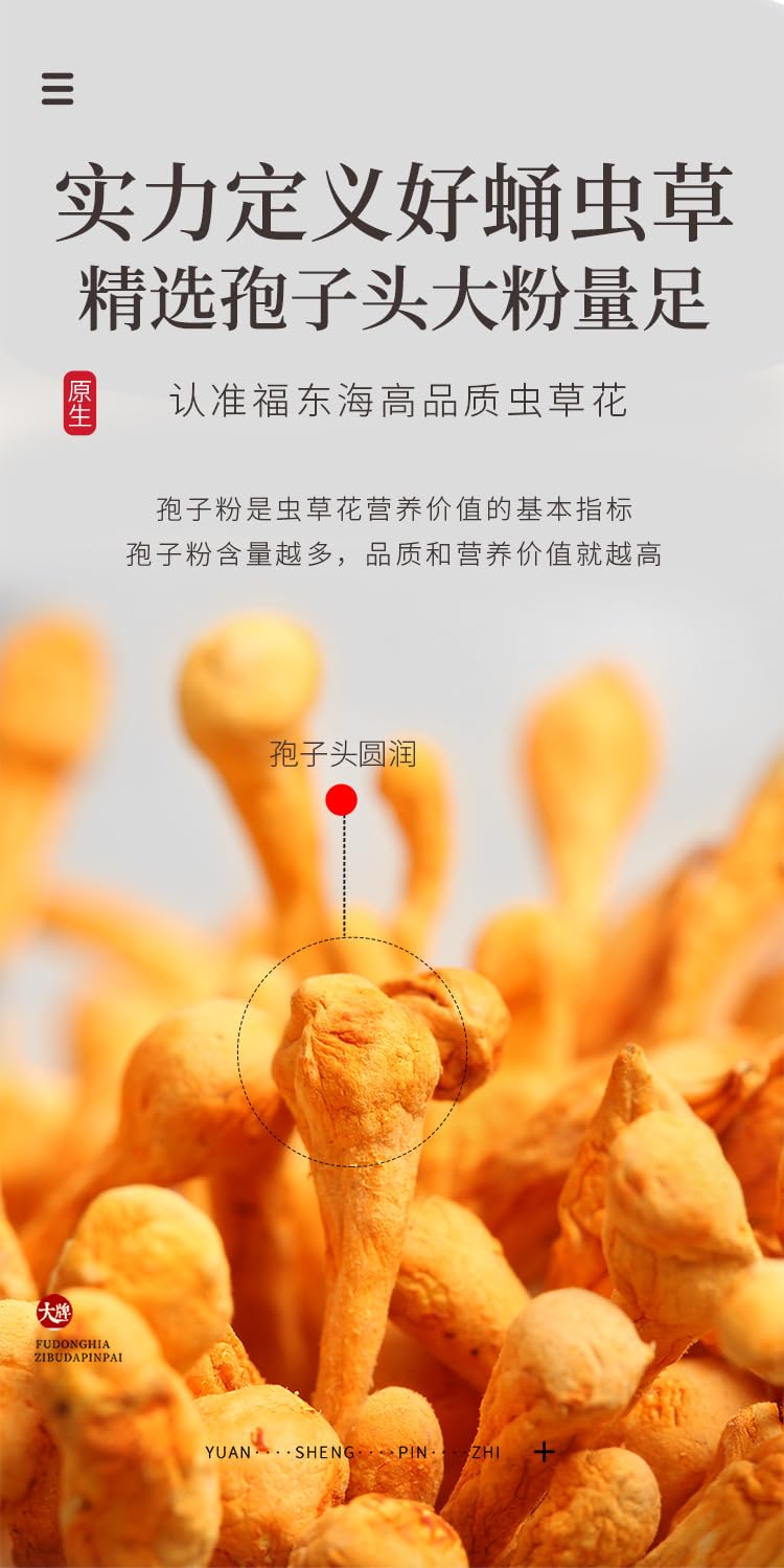 Natural Green Food Without Additives 250g CORDYCEPS MUSHROOM, Herbal Tea, Chinease Herbal, Dryness Up To 99% or More 福东海虫草花250g 蛹虫草北虫草孢子头金虫草