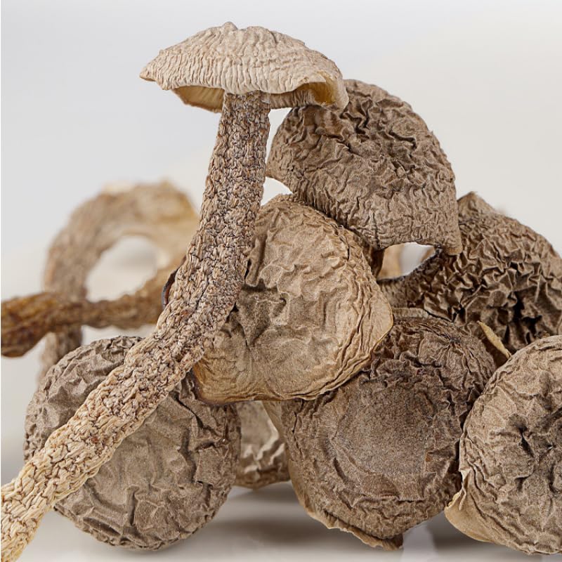 China Yunnan Specialty Natural Mushroom 100g, Premium Dried Mushroom, Bulk Edible Mushroom, No Impurities, Use for Soup, Herbal Tea 云南高品质鹿茸菇100g