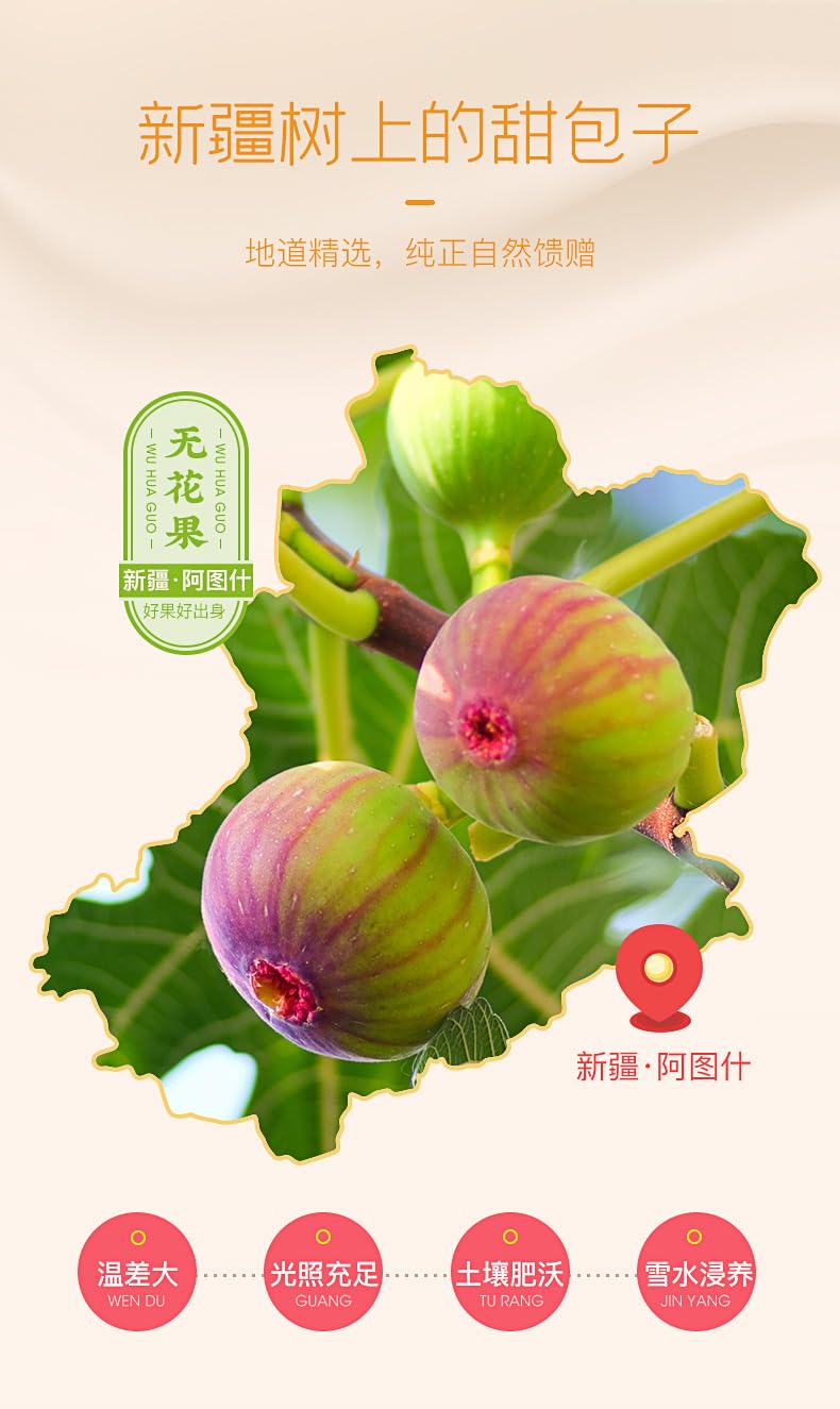 Dried Figs, Specialty of Xinjiang, China, full of flesh. Natural Green Food Without Additives Healthy Premium Snacks 250g/can 福东海无花果干新疆特产无新鲜水果干小零食蜜饯250克