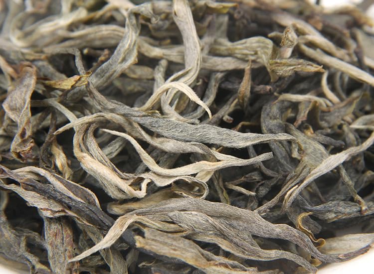 Lincang Mangfei Premium Pu-erh Tea Loose Tea 500g Yunnan Raw Puerh Tea Raw Tea Grade Old Tree Early Spring Tea Natural Chinese Tea 临沧忙肺普洱生茶散茶500g云南特生普洱茶生茶级老树早春茶