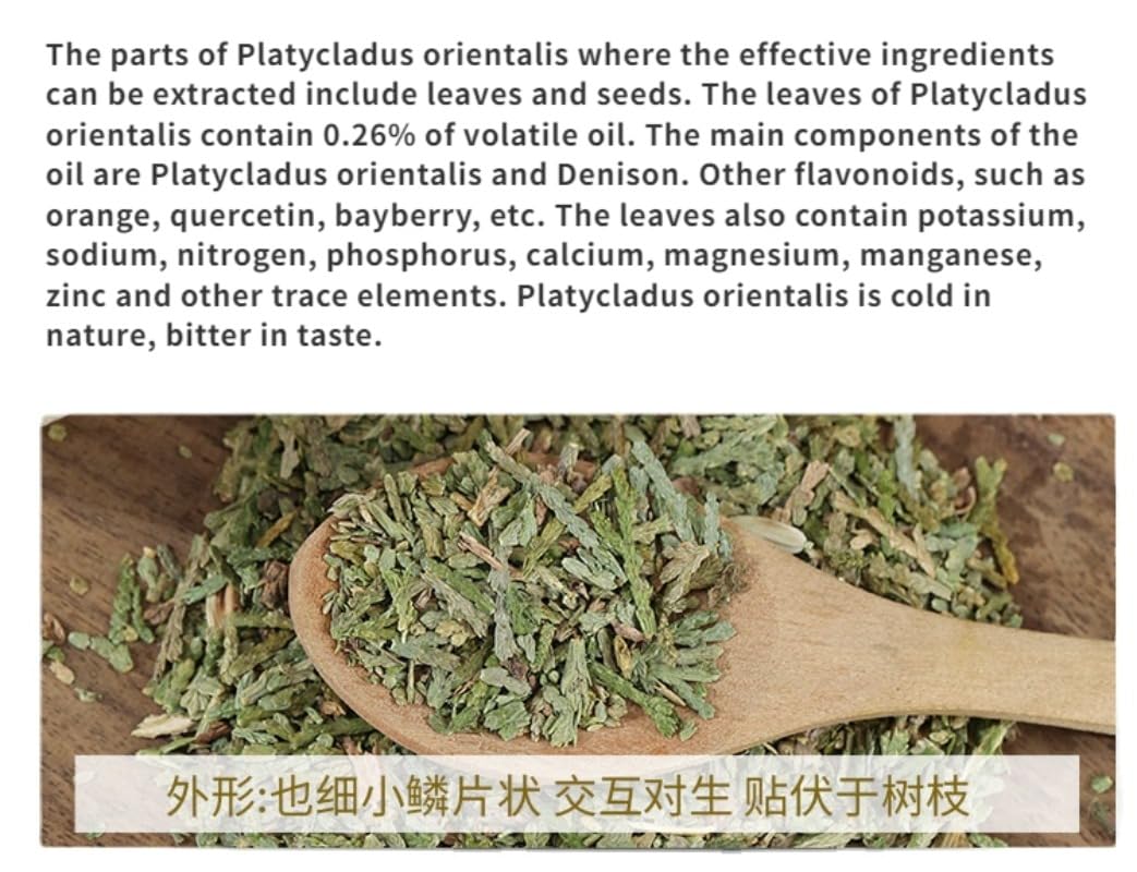 Natural Biota Orientalis Platycladus Orientalis / 70g Platycladus orientalis leaf Natural Without Additives Herbal Tea南京同仁堂罐装茶侧柏叶70克