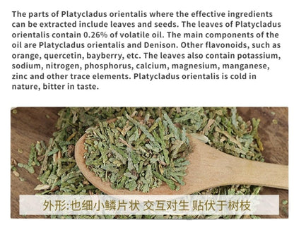 Natural Biota Orientalis Platycladus Orientalis / 70g Platycladus orientalis leaf Natural Without Additives Herbal Tea南京同仁堂罐装茶侧柏叶70克