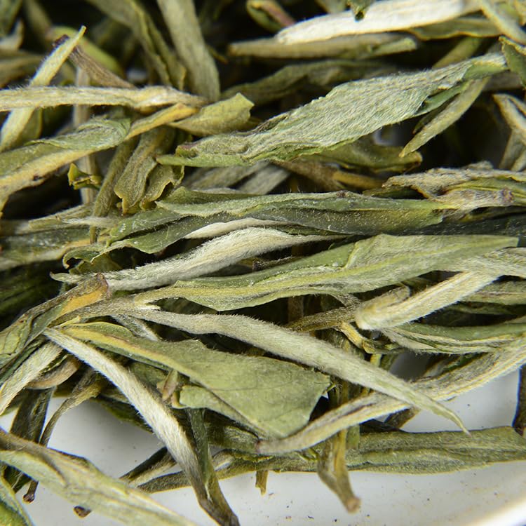 Premium Yunnan Green Single Bud Loose Tea 500g Floral Flavour Intense Green Tea Straight Strip By Dianqing 云南滇绿 青针绿茶 单芽散茶 花香 浓香型绿茶 直条松针 滇青