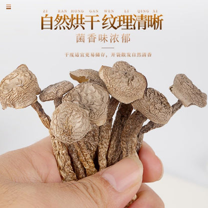 China Yunnan Specialty Natural Mushroom 100g, Premium Dried Mushroom, Bulk Edible Mushroom, No Impurities, Use for Soup, Herbal Tea 云南高品质鹿茸菇100g