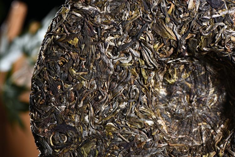 Natural and additive-free Puerh Tea Spring Raw Tea 357g High Mountain Ancient Tree Tea Menghai Ppuerh tea organic loose leaf 普洱茶春生茶 高山古树 357g巴达大树勐海普洱