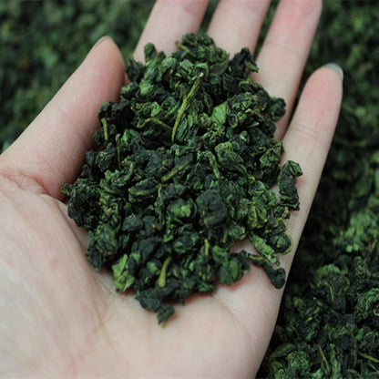 Natural and Additive-free Oolong Tea Tieguanyin Four Seasons Spring Loose 500g Strongly Flavoured Restaurants Speciality Tea 乌龙茶铁观音四季春散装浓香型