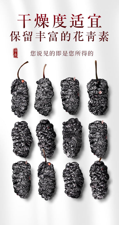 Sang Shen 250g Natural Green Food Without Additives Dried Black Beauty Fruiting Mulberry Dry Herb Black dried Mulberry 福东海 桑葚干 250g罐装 干净无沙 桑葚果 桑葚子桑椹干