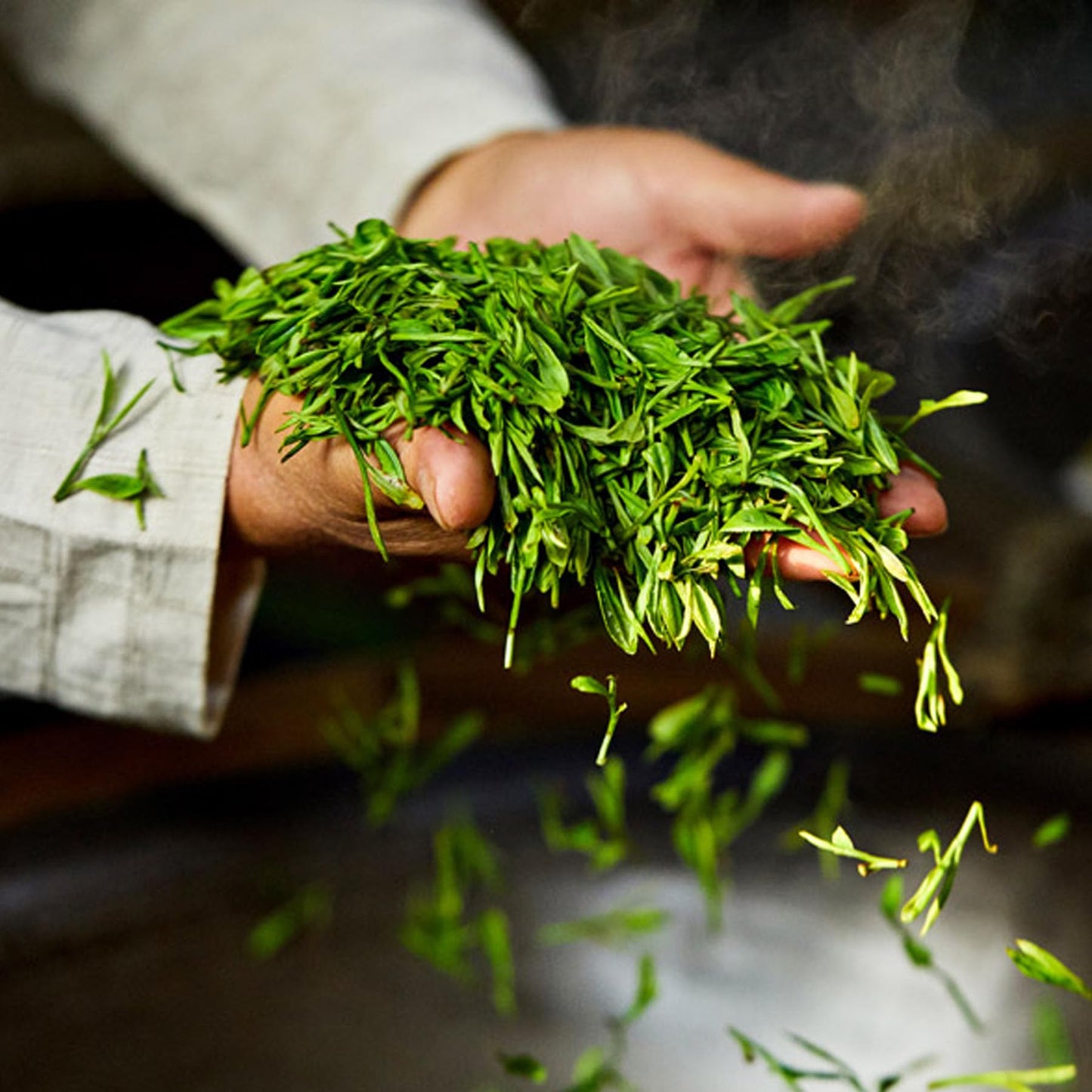 Natural and Additive-free Yunnan Puerh Tea Qizi Cake Raw Tea YiBang Raw Tea Green Tea 357g Deliciously Smooth Puerh Tea 云南普洱茶七子饼生茶倚邦生茶 357克
