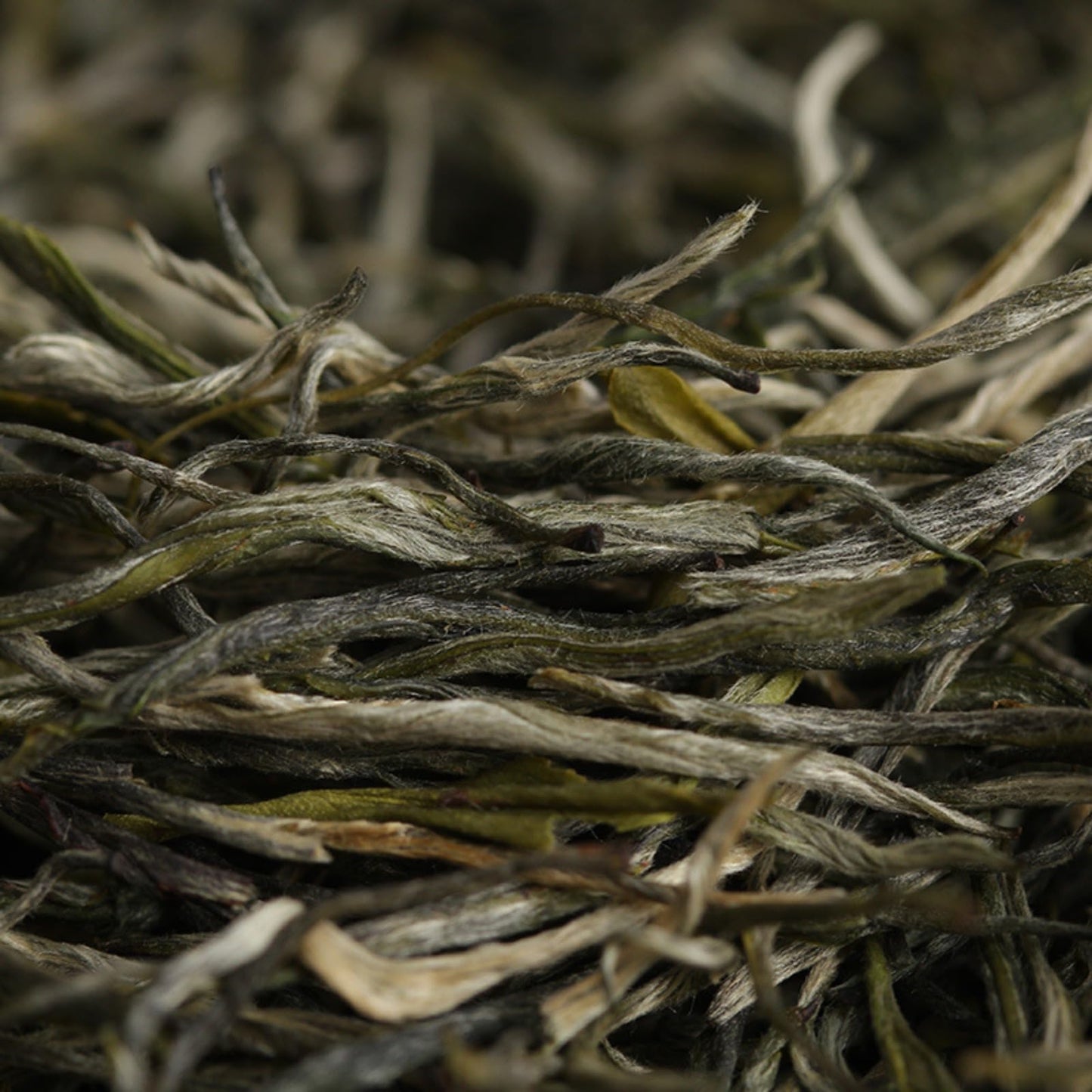 Yunnan Premium Dian Green Tea Floral Green Tea Pre-rain Qingzhen Loose Tea 500g Natural Chinese Tea 云南滇绿茶 小玉针绿茶 花香型绿茶 雨前青针散茶500克