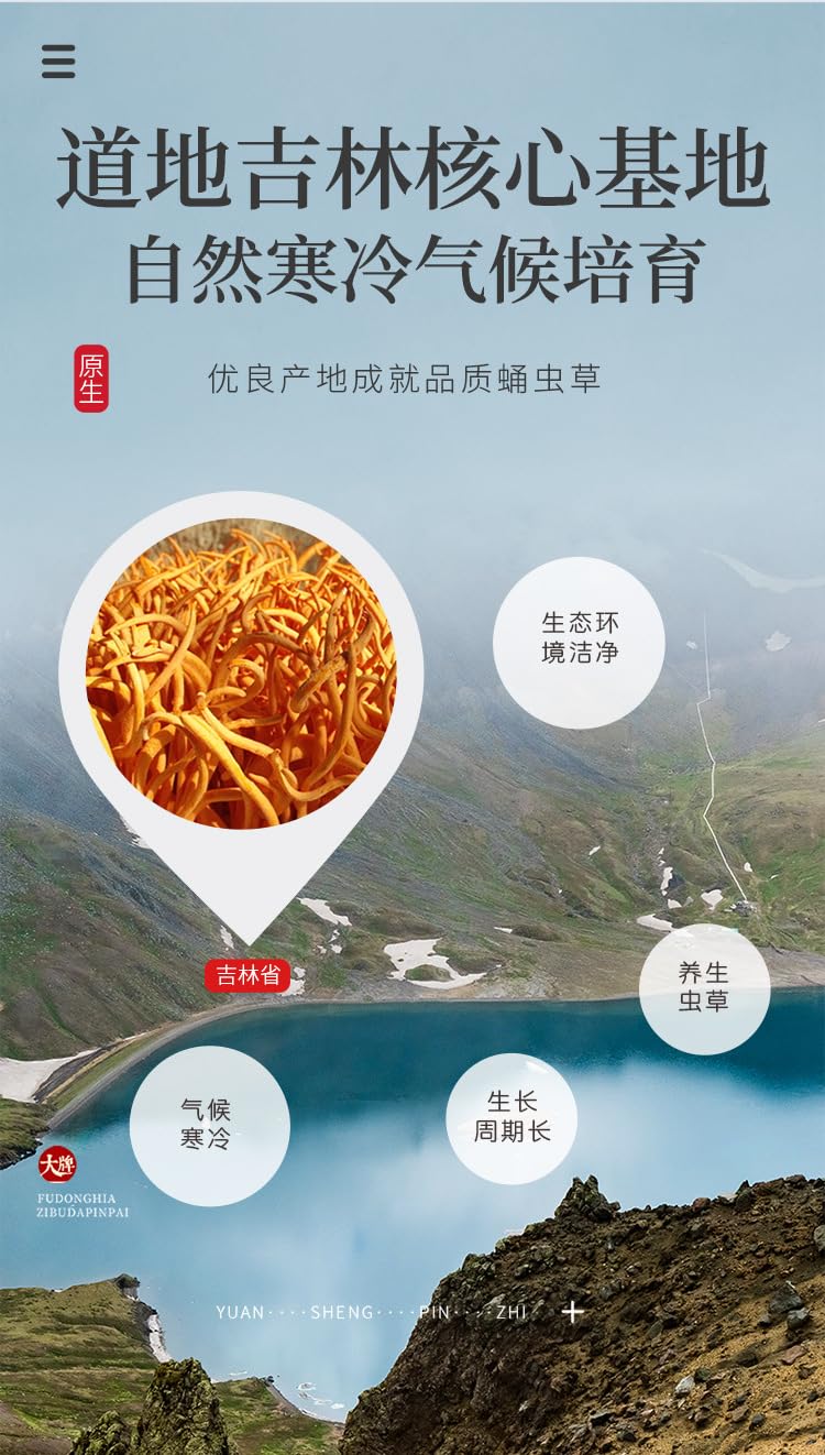 Natural Green Food Without Additives 250g CORDYCEPS MUSHROOM, Herbal Tea, Chinease Herbal, Dryness Up To 99% or More 福东海虫草花250g 蛹虫草北虫草孢子头金虫草