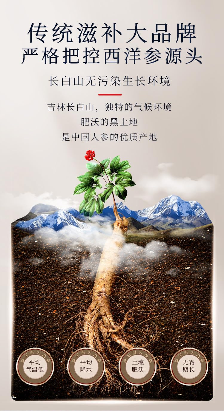 Xiyang Shen 100g, Natural Green Food Without Additives Herbal Tea, Changbaishan Renshen for Tea 西洋参切片正品含片泡水花旗参片长白山人参膏100克