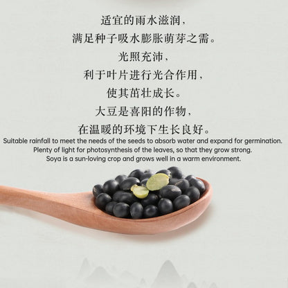 Tongrentang Natural Black Bean Low Temperature Roasted, 210g Canned Cooked Black Beans, Low Fat, Gluten Free 南京同仁堂黑豆谷杂粮210克