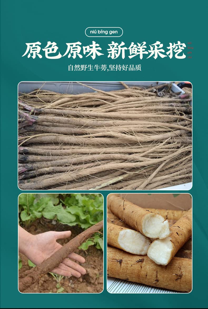 Baiyunshan Burdock Root Herbal Tea 2.64oz Health Tea Flower Tea Cassia Burdock Tea 75g Cans Tea Packaging白云山罐装牛蒡根茶