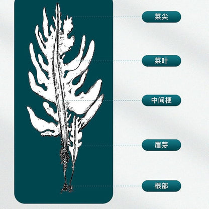 Wakame 100g/can (3.52oz) Dried Seaweed, Seaweed Sea Cabbage Naturally Dried, From Fujian, China 裙带菜100g/罐