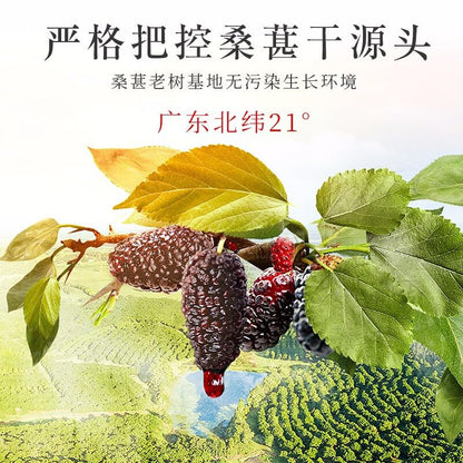 Sang Shen 250g Natural Green Food Without Additives Dried Black Beauty Fruiting Mulberry Dry Herb Black dried Mulberry 福东海 桑葚干 250g罐装 干净无沙 桑葚果 桑葚子桑椹干