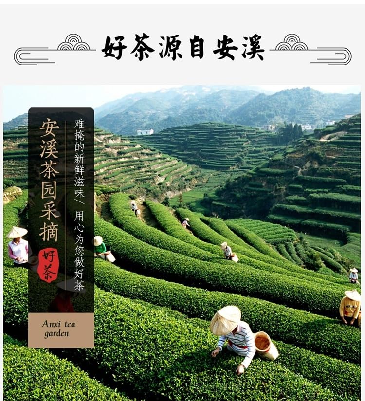 Natural and Additive-free Oolong Tea Tieguanyin Four Seasons Spring Loose 500g Strongly Flavoured Restaurants Speciality Tea 乌龙茶铁观音四季春散装浓香型
