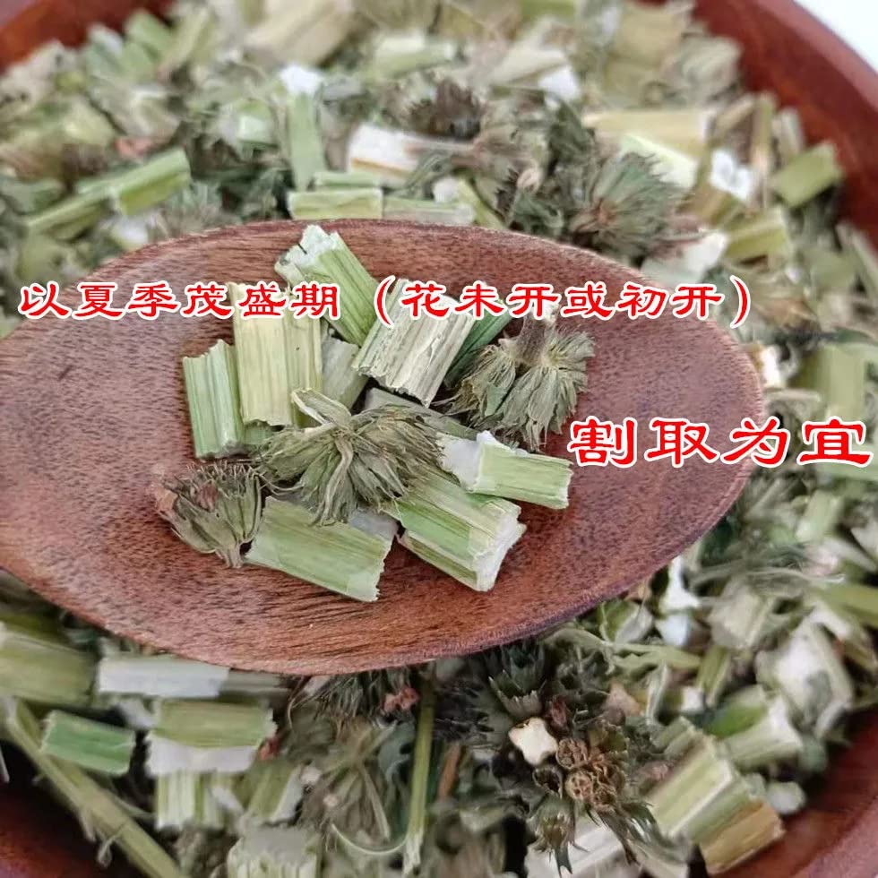 Natural Tong Ren Tang Premium Yi Mu Cao Chinese Herb Leaf, Loose Leaf Tea, Unadulteratedn Women's Tea Herbal Tea 同仁堂益母草无杂质粉当季采摘女性茶30克