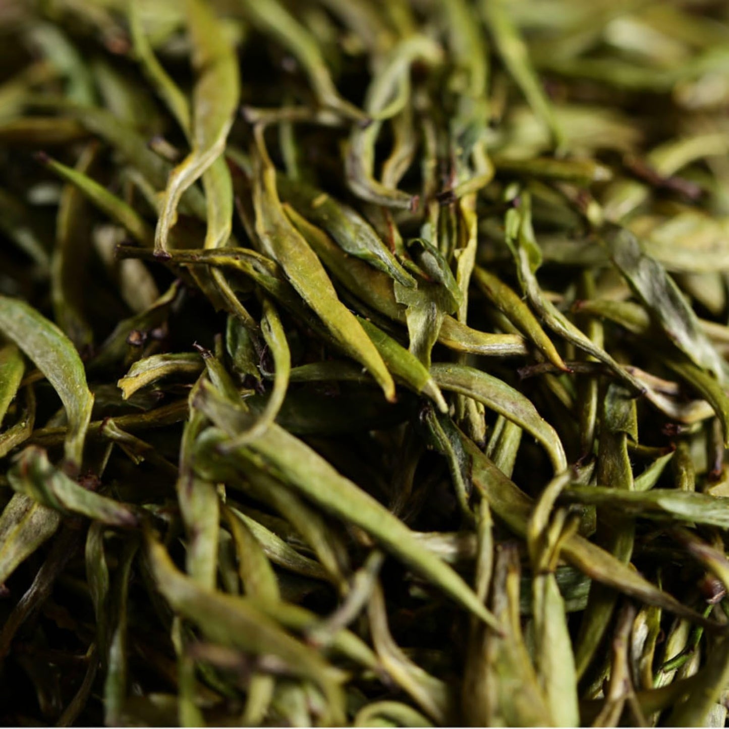 Yunnan Premium Green Tea Pre-ming Spring Tea Single Bud Green Tea 500g Natural and Additive-free Loose Leaf Tea 明前春茶单芽 青针 雀舌 绿茶 500克