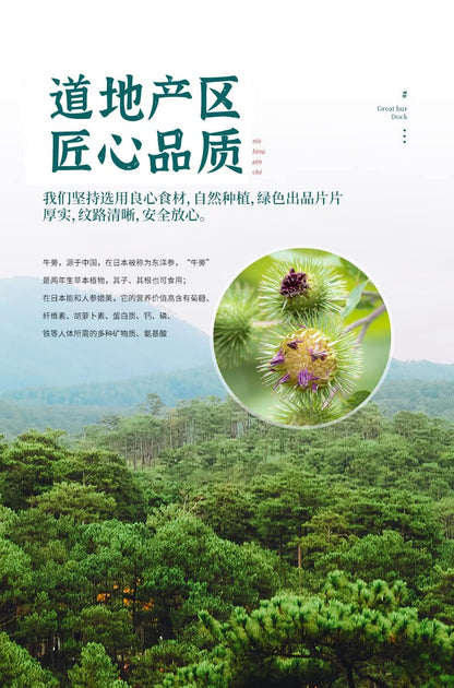 Baiyunshan Burdock Root Herbal Tea 2.64oz Health Tea Flower Tea Cassia Burdock Tea 75g Cans Tea Packaging白云山罐装牛蒡根茶