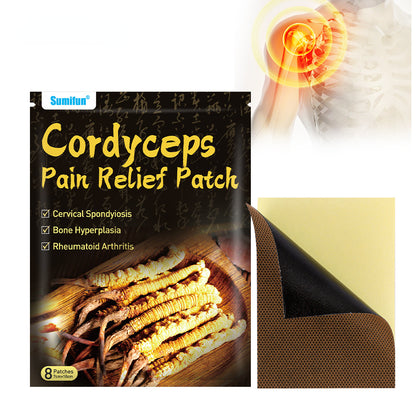 3 Packs, Cordyceps Pain Relief Patch，Powerful Pain Relief，Rheumatoid Arthritis， Muscle Joint Pain 24pcs (3Packs*8pcs) 虫草元素远红外贴,关节肌肉痛贴