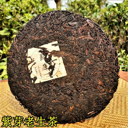 Old Raw Tea Puerh Mengku Purple Bud Tea Icelandic Aged Puerh Raw Tea 357g Qizi Cake Tea