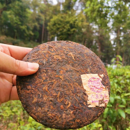 Icelandic Ripe Puerh Tea Ancient Tree Pure Fermented Tea 200g Chen Xiang Iced Sweet Puerh Tea